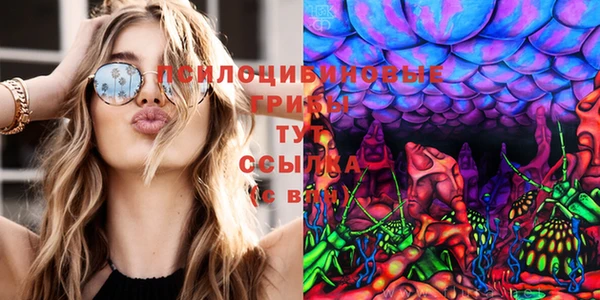 тгк Балахна