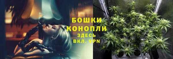дживик Баксан